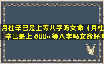月柱辛巳是上等八字吗女命（月柱辛巳是上 🌻 等八字吗女命好吗）
